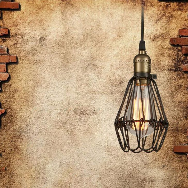 Small Cage Coffee Shop Hanging Light Fixture Antiqued Metal Black Pendant Ceiling Light