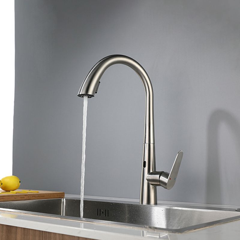 Modern Style Kitchen Faucet Stainless Steel Single Handle Gooseneck Kitchen Faucet