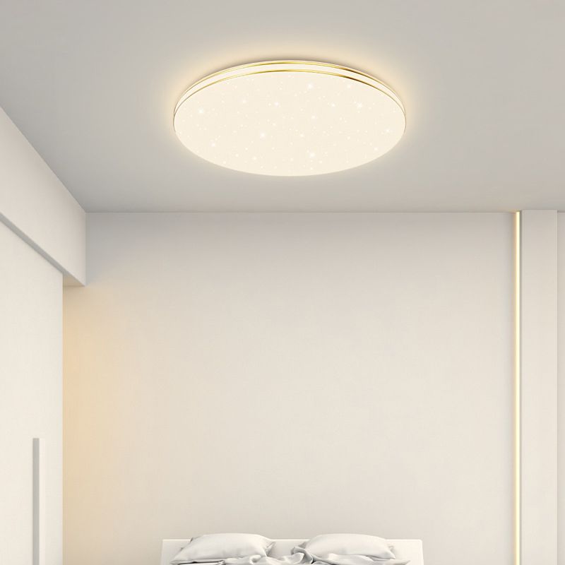 Single Golden Flush Mount Lighting LED Ceiling Light for Living Room