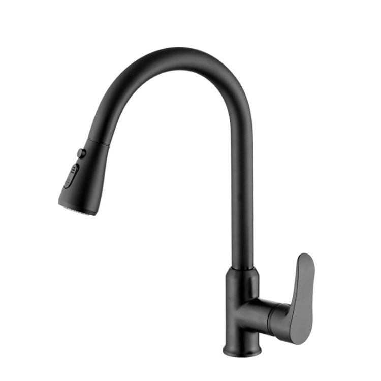 Gooseneck 1-Handle Faucet Copper with Pull out Sprayer with Water Dispenser Faucet