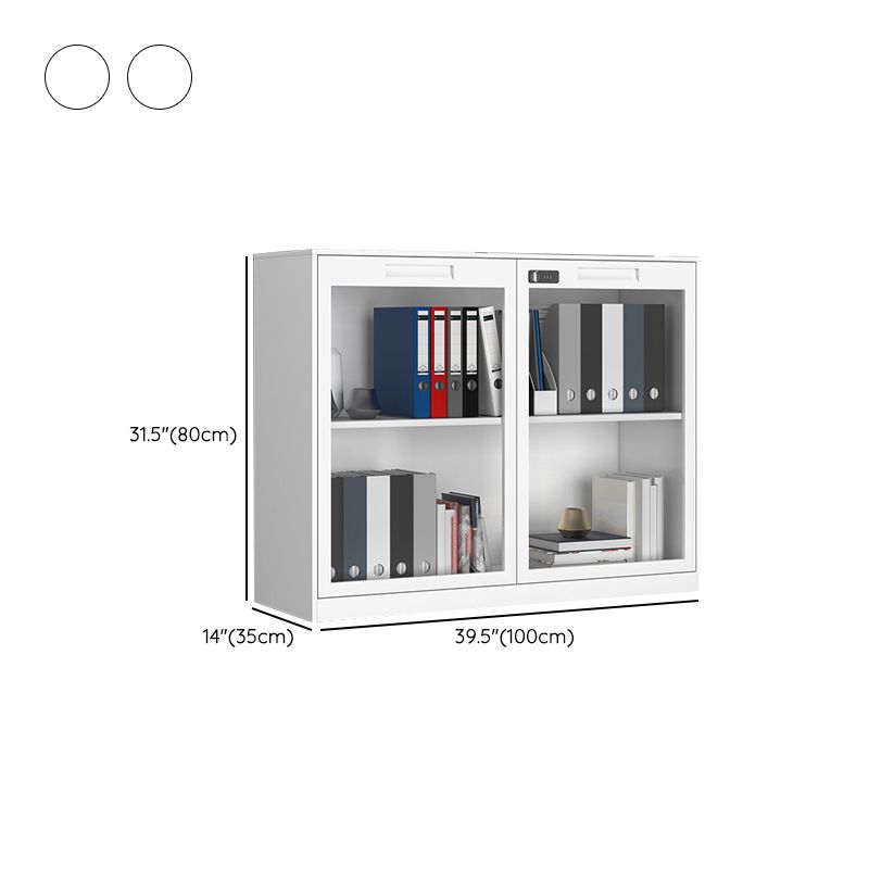 Modern Style Vertical Filing Cabinet Glass Filing Cabinet with Locking Storage