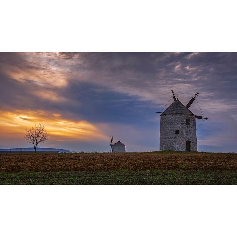 Room Wall Mural Wallpaper Small Town Windmill Mildew Resistant Wall Decor