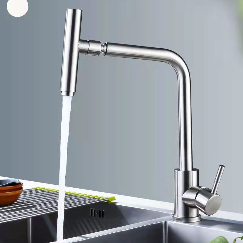 1-Handle Faucets with Water Dispenser Stainless Steel Standard Kitchen Faucets