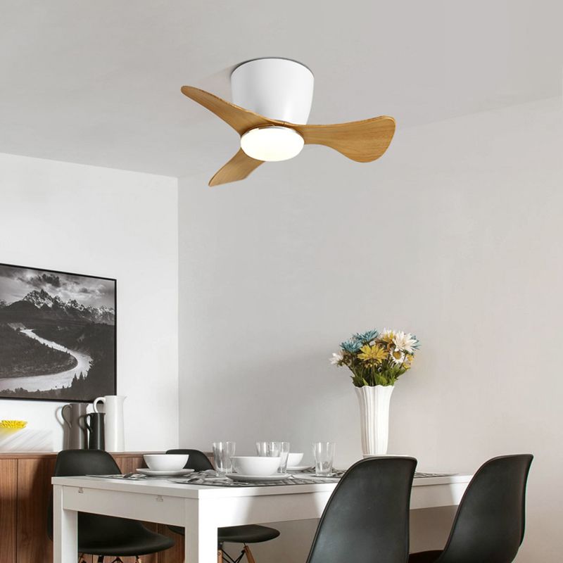 Fan Shape Metal Ceiling Fans Modern 1-Light Ceiling Fan Lamp Fixture