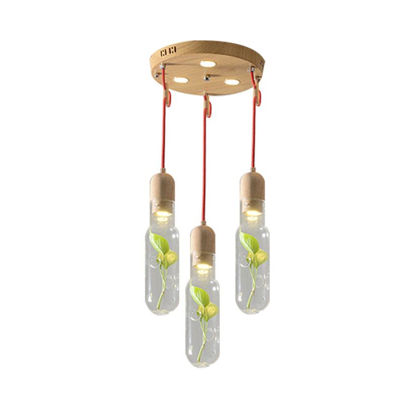 Lámpara de techo LED de botella de metal de clúster de madera 3/5/7 bulbos con contenedor de plantas para sala de estar