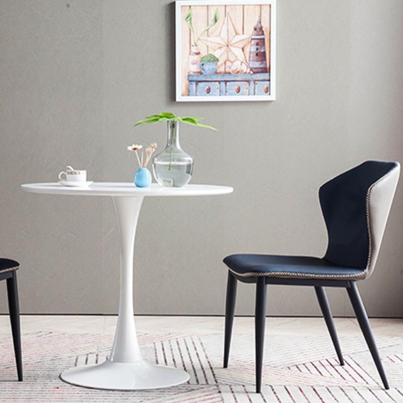 Contemporary Dining Chairs Armless Chairs with Metal Legs for Kitchen