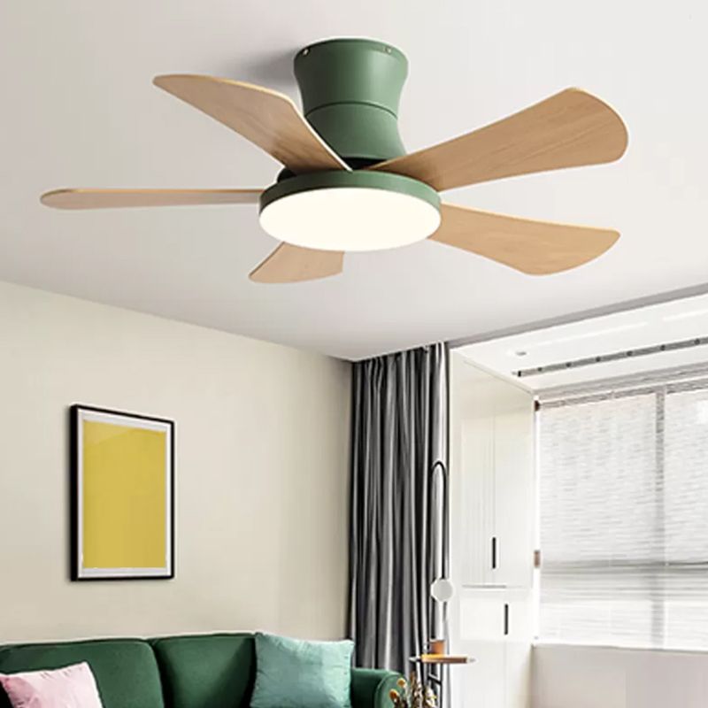 Modern Macaron Ceiling Fan Light Metal 1 Light LED Ceiling Fan for Children's Room