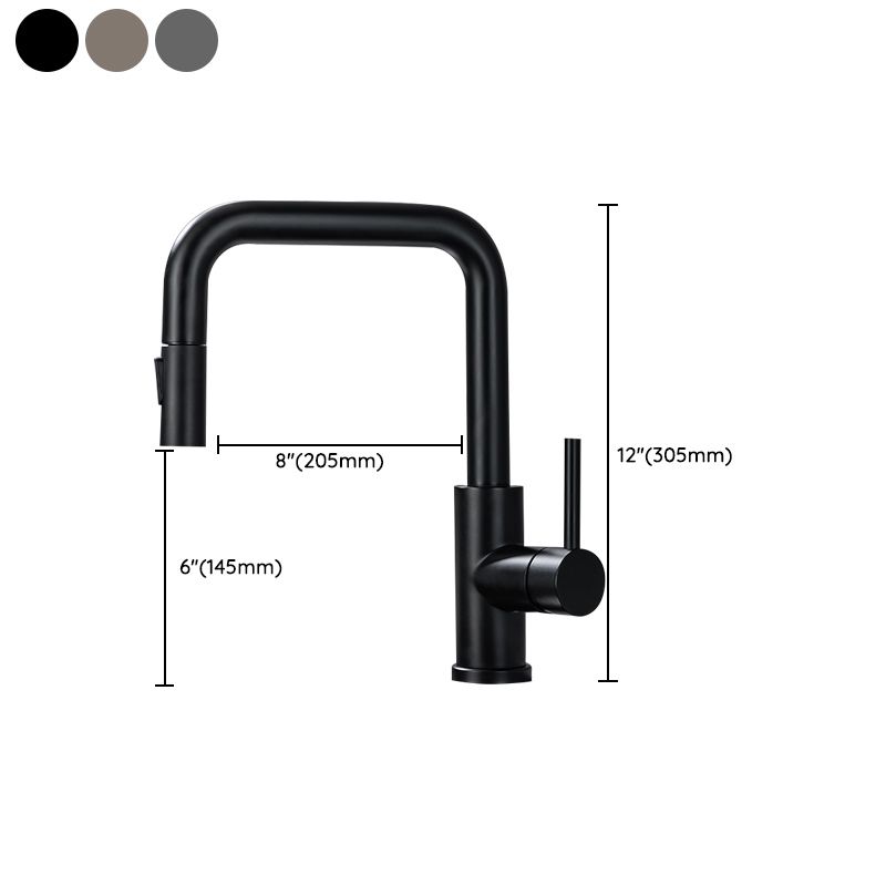 Modern Pull Out Single Rotary Switch Kitchen Faucet High Profile Faucet