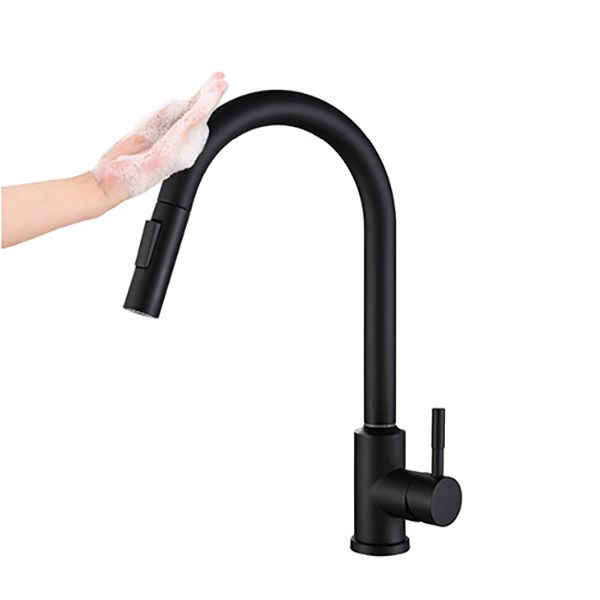 Modern 1-Handle Faucets Stainless Steel Gooseneck with Pull Out Sprayer Faucets