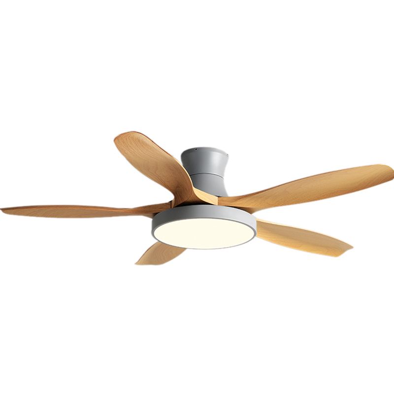 Contemporary LED Ceiling Fan Lighting Fixture for Sitting Room