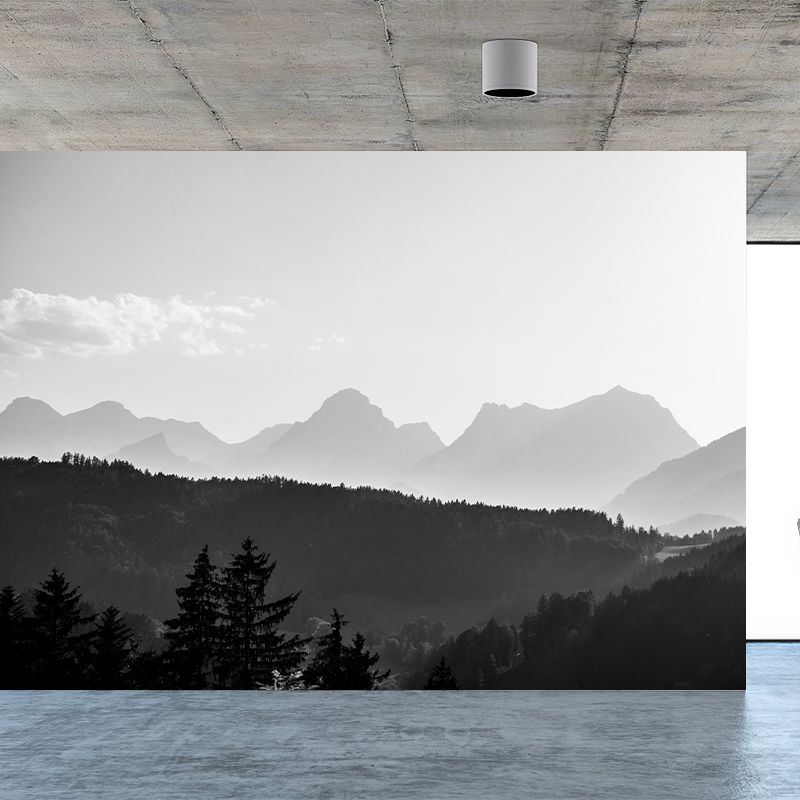 Photography Mountain Wallpaper Modern Stain Resistant Decorative Wall Mural