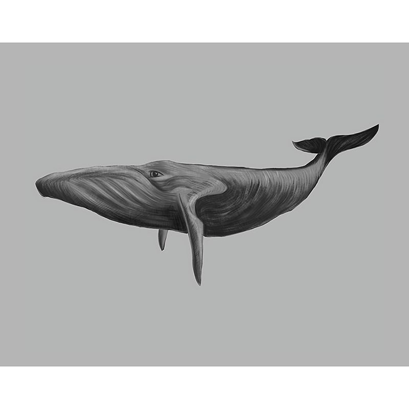 Big Photo Style Modern Mural for Living Room with Lively Whale in Grey