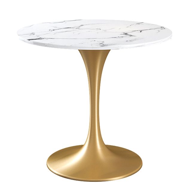 Sintered Stone Dining Table Traditional Luxury Round Tulip Dining Table