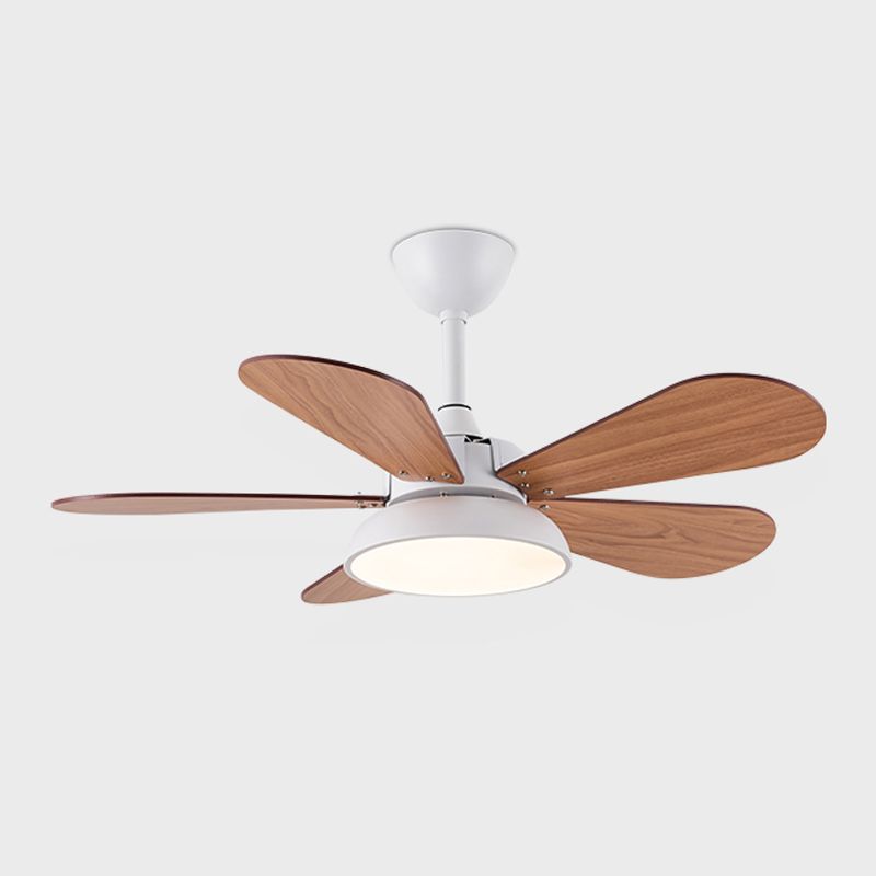 Nordic Style Metal Ceiling Fan Lamp Colorful Ceiling Fan Light for Children Room