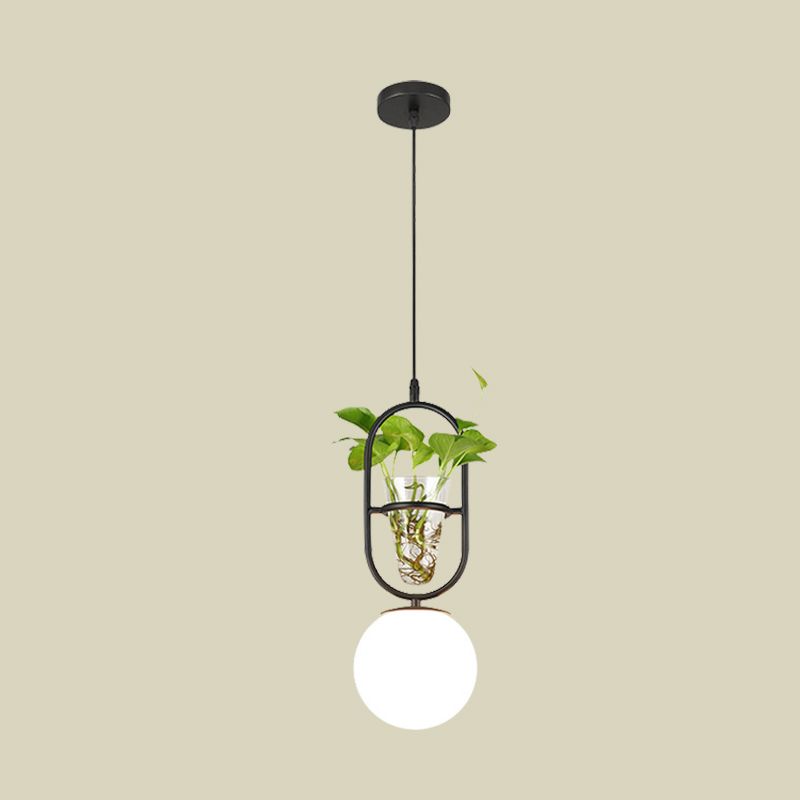 Factory Sphere Hanging Pendant 1 Head White Glass Ceiling Light in Black/Grey/Gold with Round/Oval Cage and Plant Cup