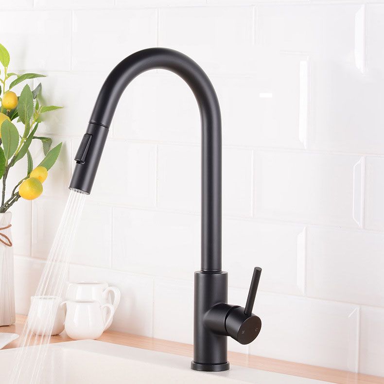 1-Handle Faucet Touch Stainless Steel with Water Dispenser Standard Kitchen Faucet