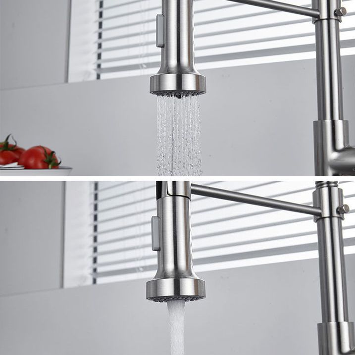 1-Handle Faucets with Water Dispenser Spring Spout Standard Kitchen Faucets