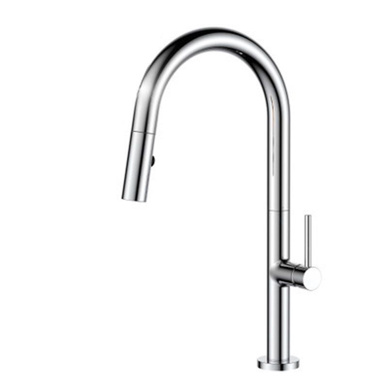 Pull Down Kitchen Faucet Single Handle 2-Function Faucet with Pull Out Sprayer