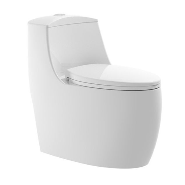 Modern Toilet Floor Mounted One Piece Skirted Urine Toilet with Toilet Seat