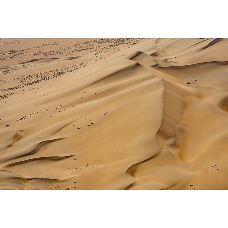 Mildew Resistant Wall Mural Sand Photography Environmental Desert Wallpaper