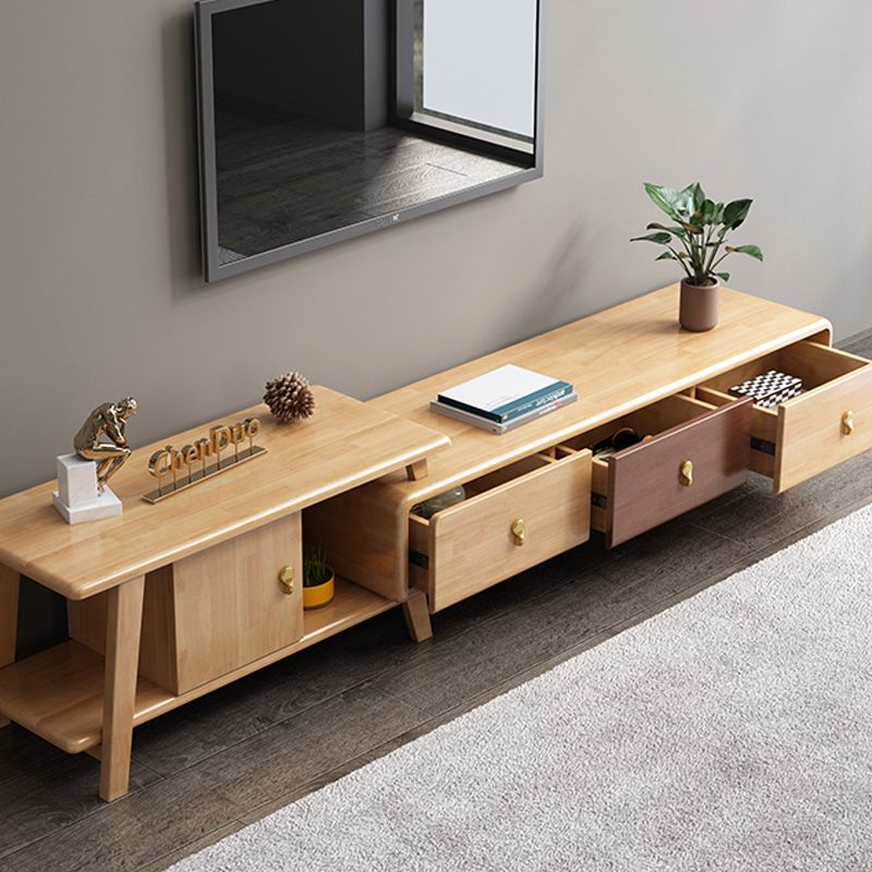 Contemporary Wood TV Stand Enclosed Storage TV Media Stand for Living Room