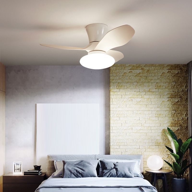 Metal Fan Shape Ceiling Fan Modern Style 1 Light Ceiling Fans Fixtures