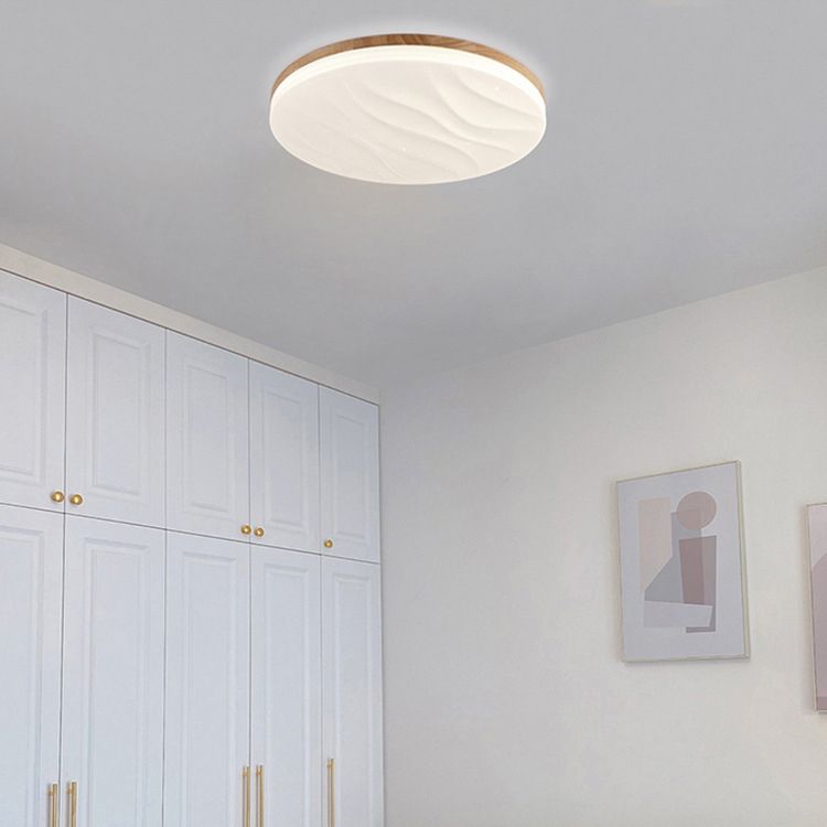 Modern Flush Mount Ceiling Fixture 1 Light Flush Ceiling Light for Living Room