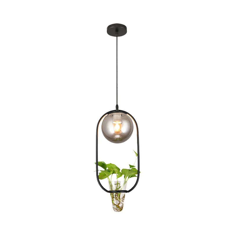 Industrial Global Hanging Ceiling Light 1 Bulb Smoke Gray Glass Pendant Lamp in Black/Grey/Gold with Oval Cage and Plant Cup