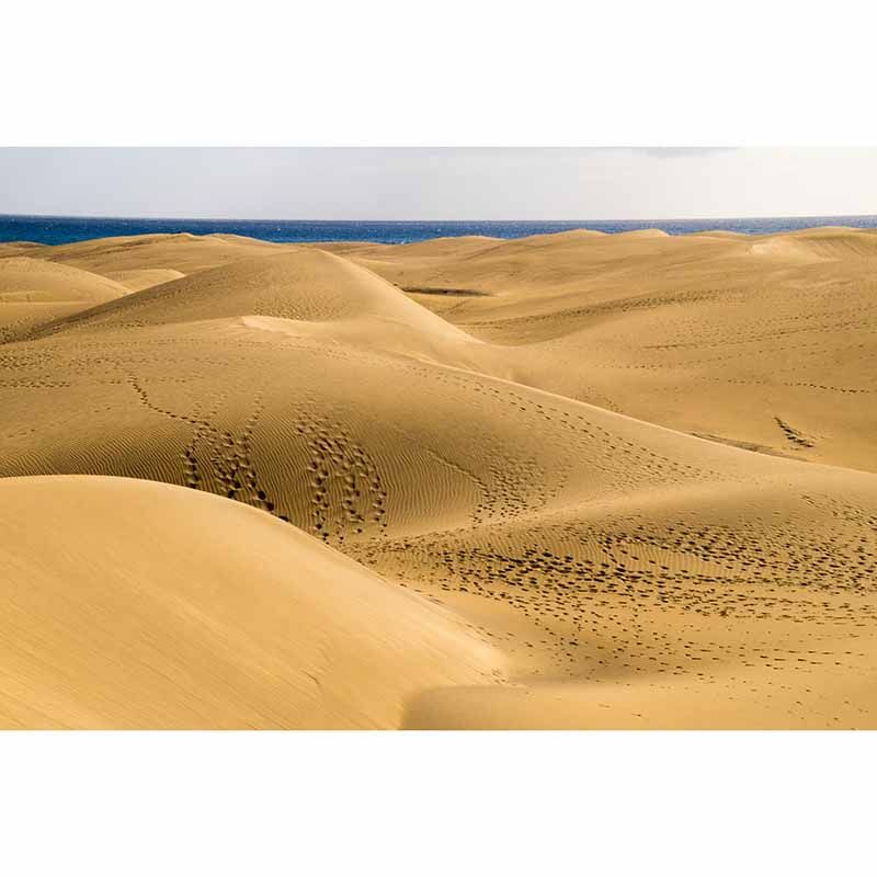 Photography Mildew Resistant Desert Wallpaper Home Decoration Wall Mural