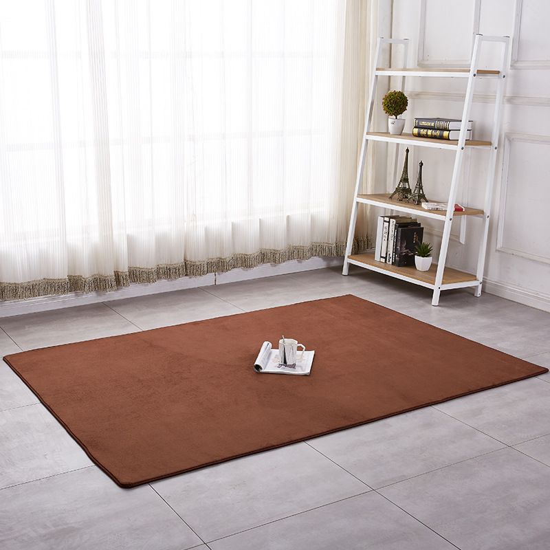 Simple Solid Shag Carpet Polyester Area Rug Non-Slip Backing Indoor Rug for Adults Bedroom
