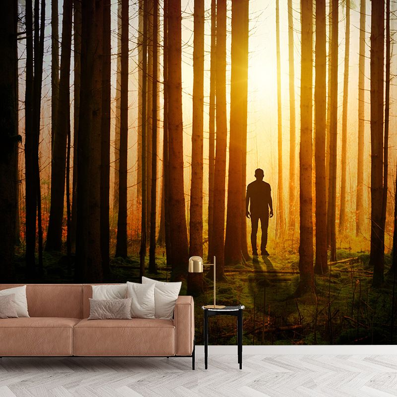 Stain Resistant Wall Mural Environmental Landscapes Photography Wall Mural