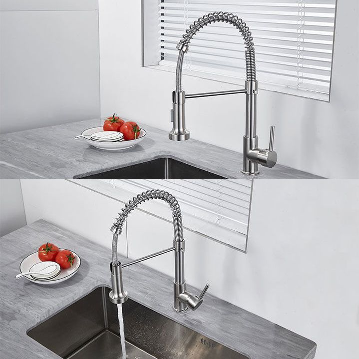 1-Handle Faucets with Water Dispenser Spring Spout Standard Kitchen Faucets