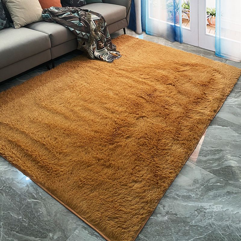 Funky Plain Shag Carpet Polyester Indoor Rug Non-Slip Backing Area Carpet for Living Room