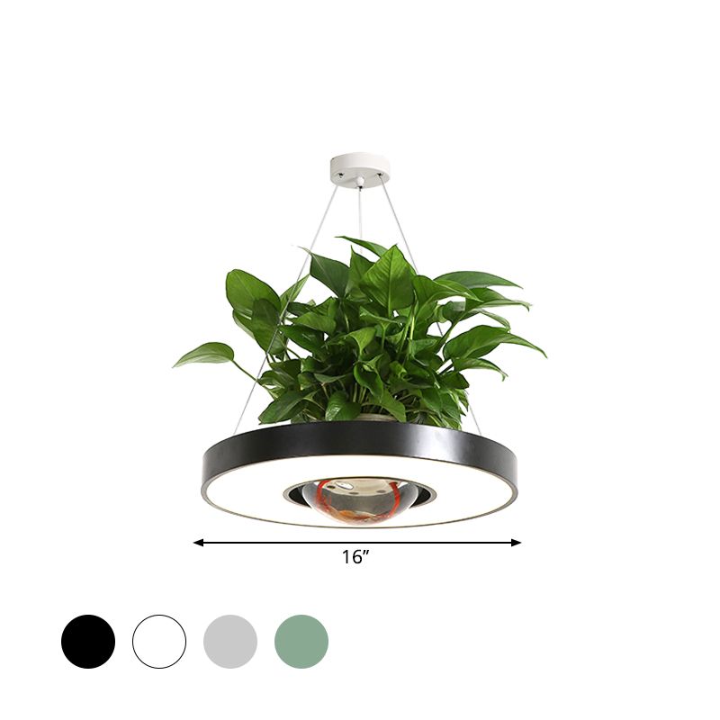 16 "/19,5" W acrylique LED Plafond accroche légère nordique noir / blanc / vert cercle salle à manger d'éclairage avec bol à poisson