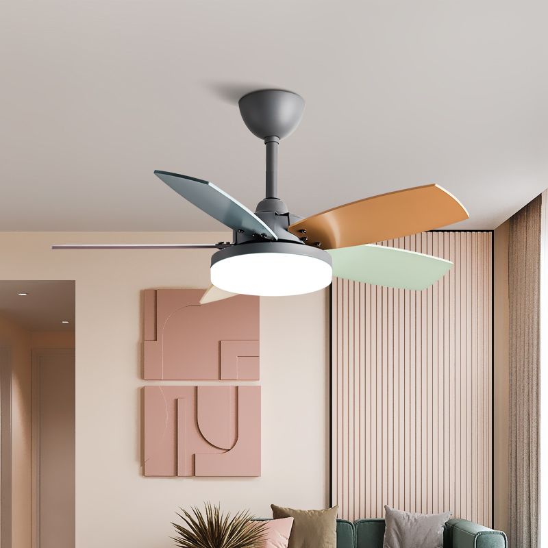 Modern Simple Metal Ceiling Fan Lamp Colorful Blades LED Ceiling Fan Light for Bedroom