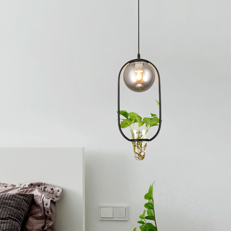 Industrial Global Hanging Ceiling Light 1 Bulb Smoke Gray Glass Pendant Lamp in Black/Grey/Gold with Oval Cage and Plant Cup