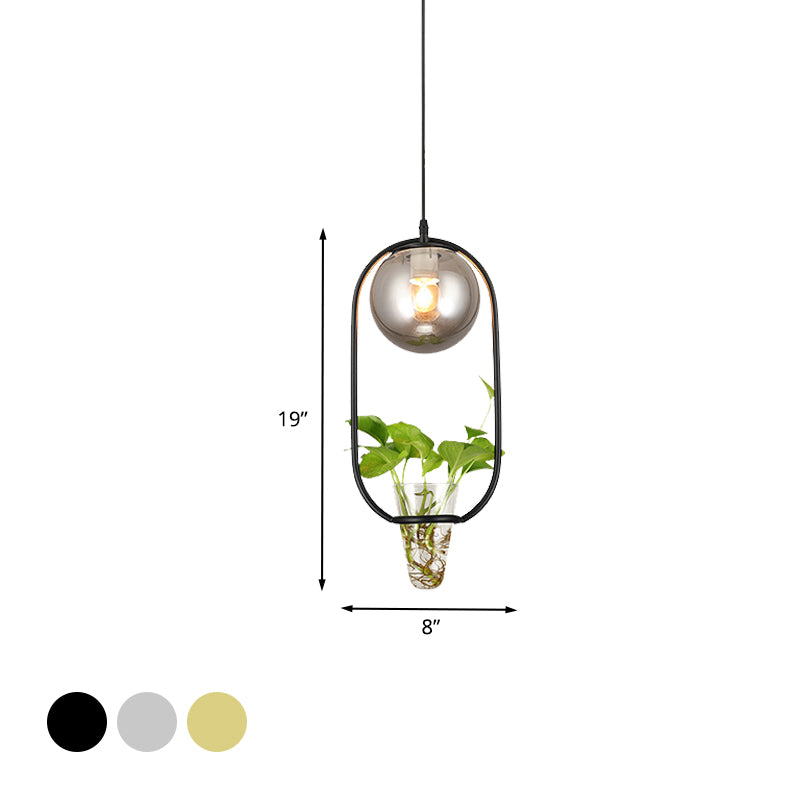 Industrial Global Hanging Ceiling Light 1 Bulb Smoke Gray Glass Pendant Lamp in Black/Grey/Gold with Oval Cage and Plant Cup