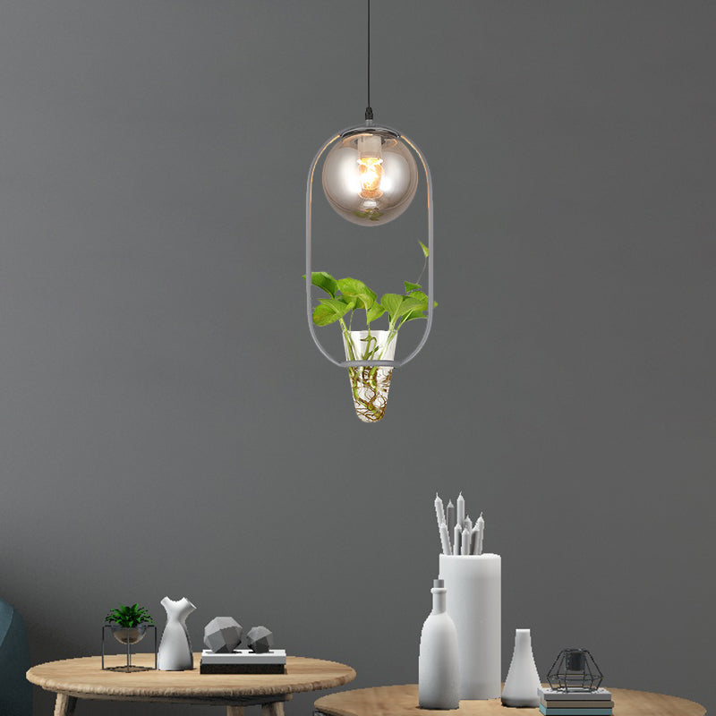 Industrial Global Hanging Ceiling Light 1 Bulb Smoke Gray Glass Pendant Lamp in Black/Grey/Gold with Oval Cage and Plant Cup