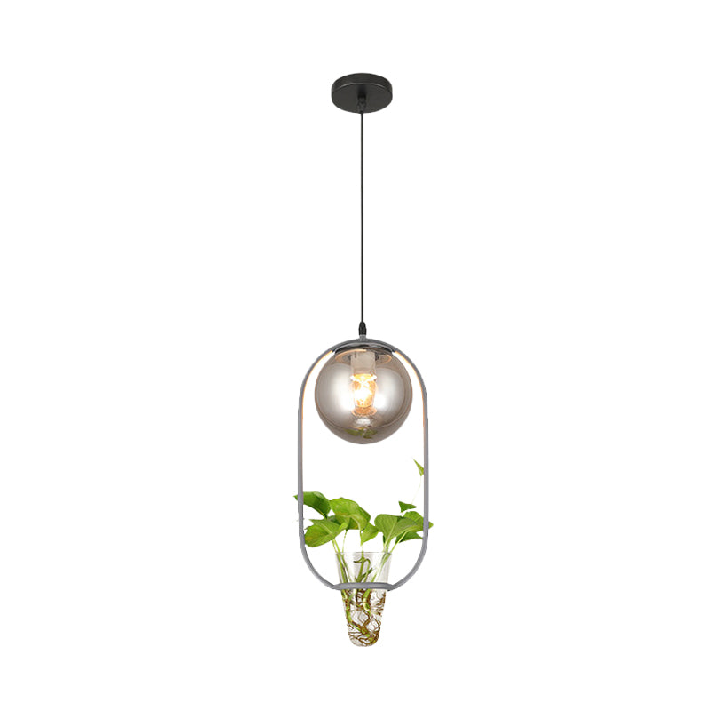 Industrial Global Hanging Ceiling Light 1 Bulb Smoke Gray Glass Pendant Lamp in Black/Grey/Gold with Oval Cage and Plant Cup