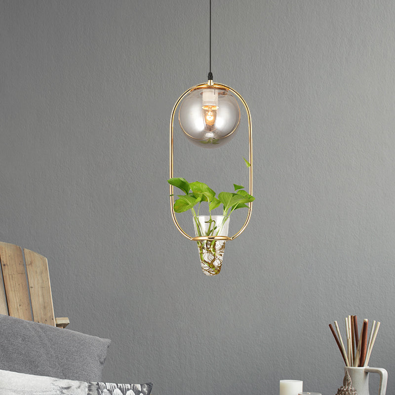 Industrial Global Hanging Ceiling Light 1 Bulb Smoke Gray Glass Pendant Lamp in Black/Grey/Gold with Oval Cage and Plant Cup