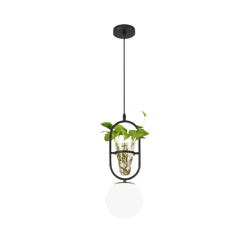 Factory Sphere Hanging Pendant 1 Head White Glass Ceiling Light in Black/Grey/Gold with Round/Oval Cage and Plant Cup