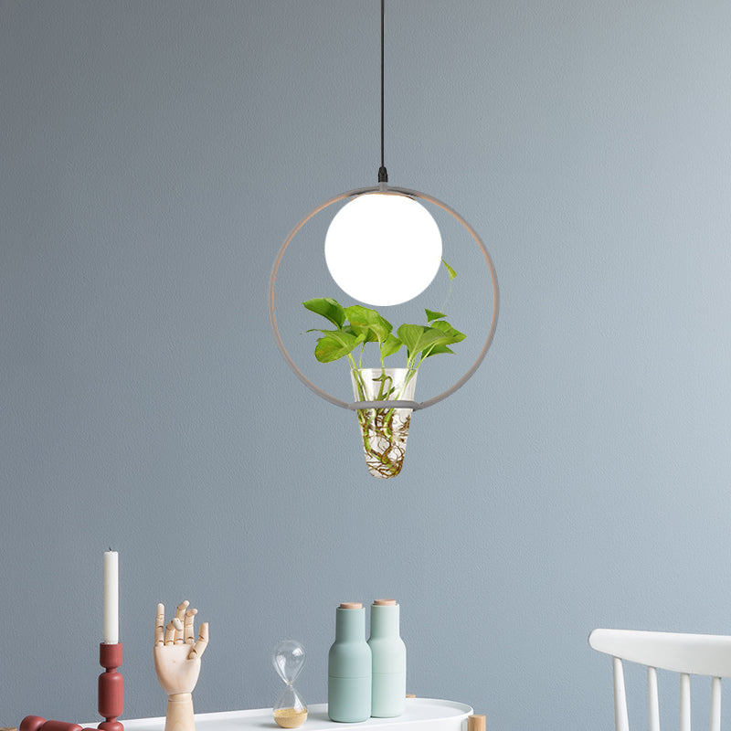 Factory Sphere Hanging Pendant 1 Head White Glass Ceiling Light in Black/Grey/Gold with Round/Oval Cage and Plant Cup