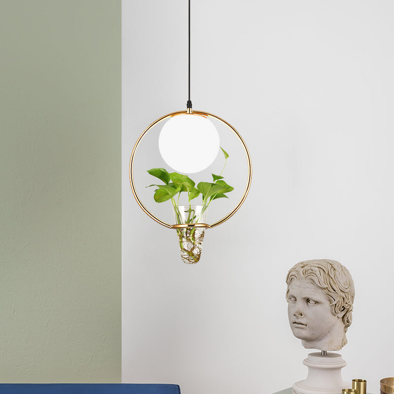 Sphère d'usine suspension de la tête 1 tête en verre blanc plafond léger en noir / gris / or avec cage ronde / ovale et tasse de plantes