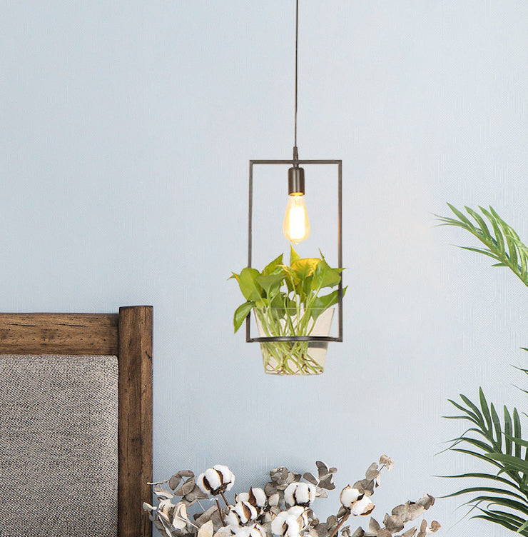 Zwart 1-head Down Lighting Retro Iron Square/Round/Gourd plafond hanger licht met ingemaakte plant voor restaurant