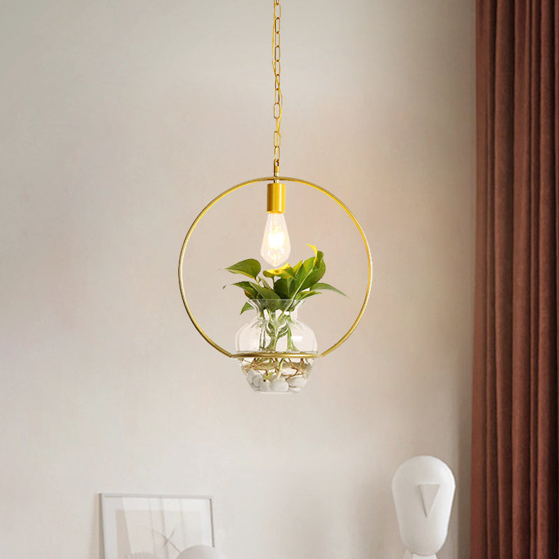 Vintage Square/Round/Gourd Pendant 1 Bulb Iron Down Lighting in Gold with Potted Plant for Living Room