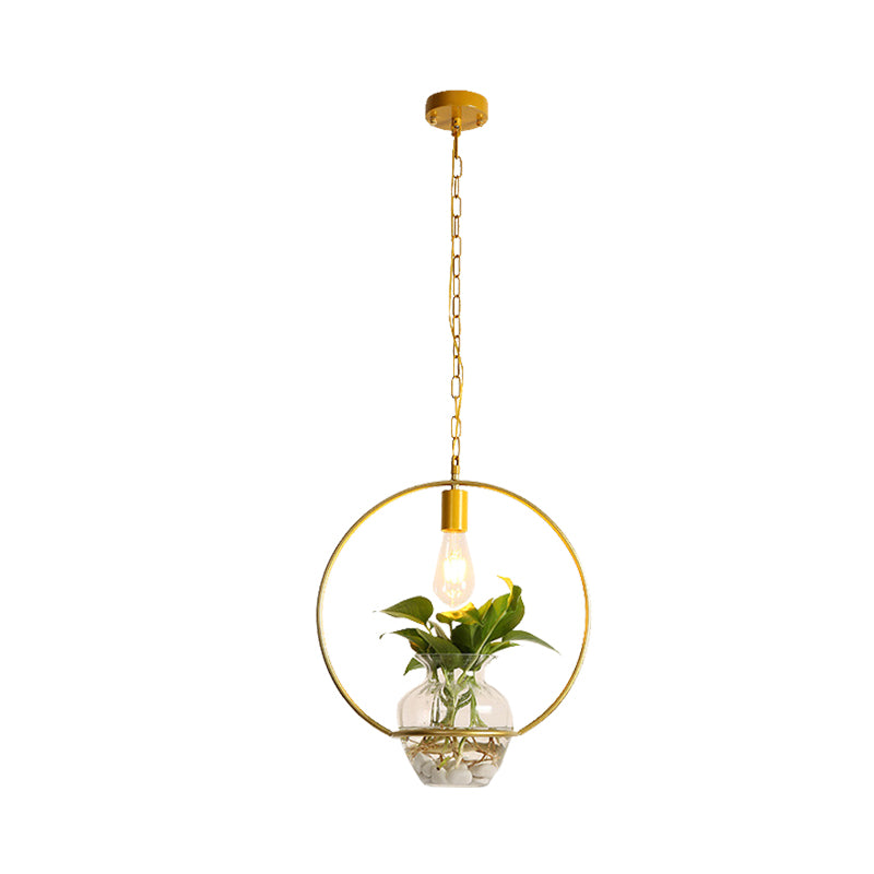 Vintage Square/Round/Gourd Pendant 1 Bulb Iron Down Lighting in Gold with Potted Plant for Living Room