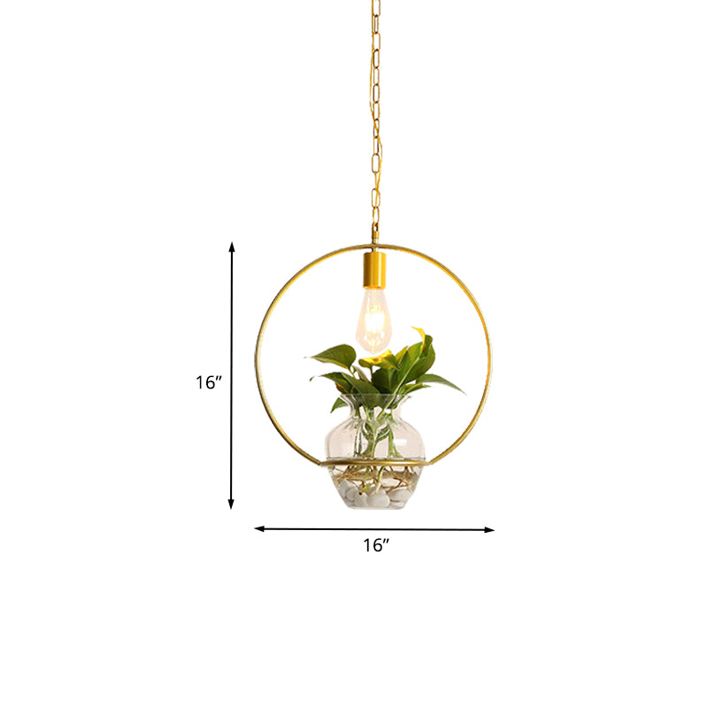 Vintage Square/Round/Gourd Pendant 1 Bulb Iron Down Lighting in Gold with Potted Plant for Living Room