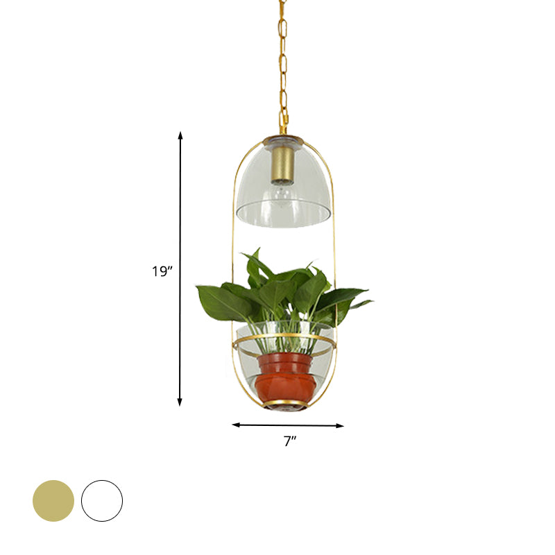 White/Gold 1 Light Drop Lamp Farmhouse Clear Glass Bowl Shaped Pendant Lighting Fixture with Oval Cage