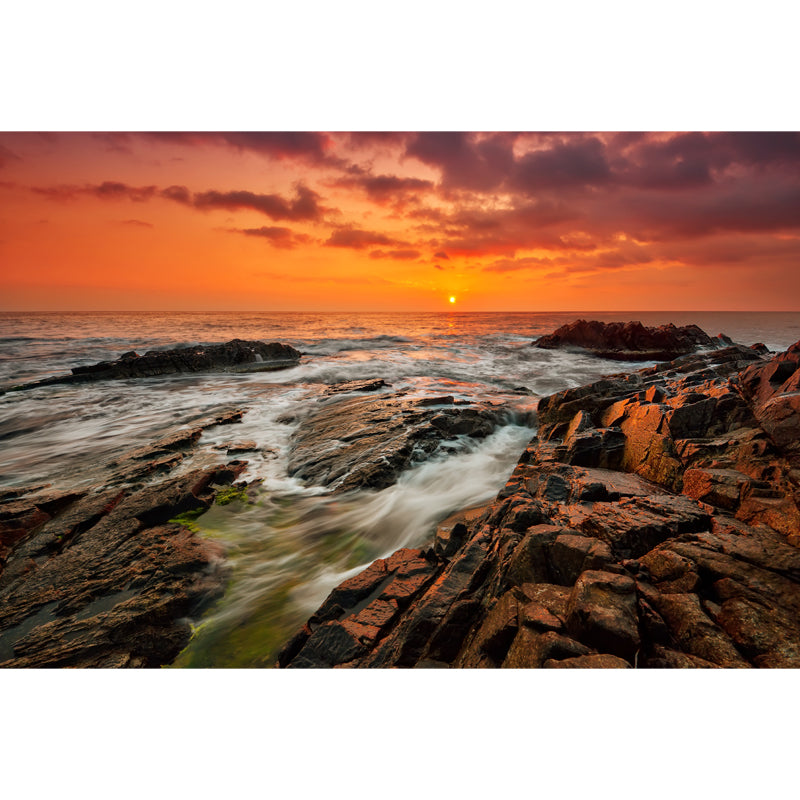 Yellow Eventide Scenery Wall Mural Ocean Rock Tropix Stain Proof Wall Art for Home