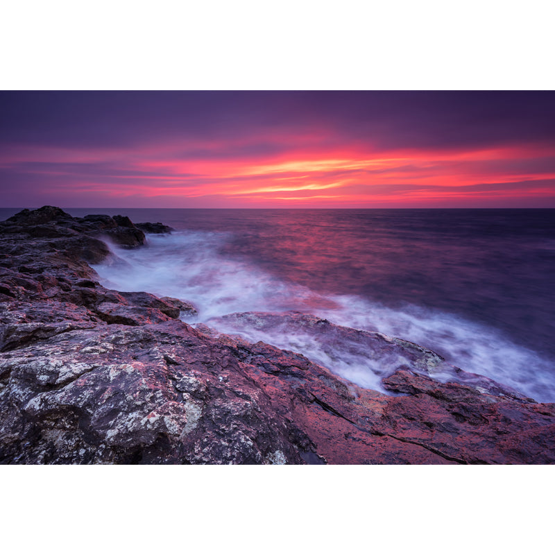 Whole Rock and Surge Mural Tropical Stunning Evening Glow Wall Covering in Purple